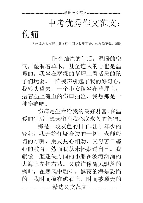 中考优秀作文范文：伤痛