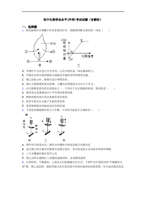 初中生物学业水平(升学)考试试题(含解析)