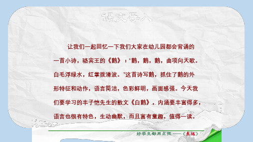 七年级语文下册第1单元第3课白鹅课件语文版