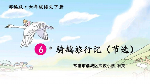 统编版语文教材六年级下册第二单元第6课《骑鹅旅行记》教学课件