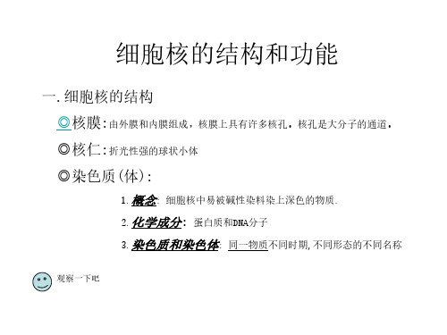 高三生物细胞核的结构和功能