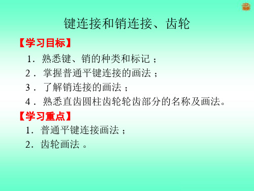 键联结和销联结、齿轮