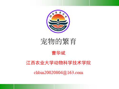 13  宠物的繁育医学PPT课件