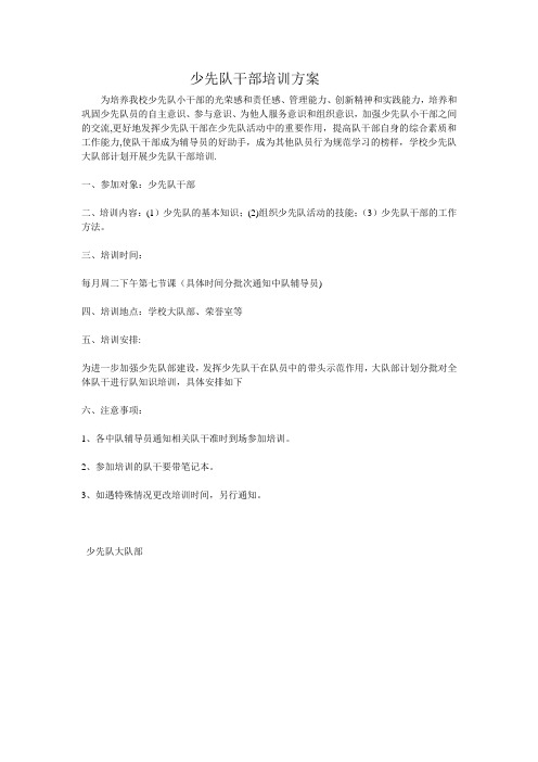 少先队干部培训方案