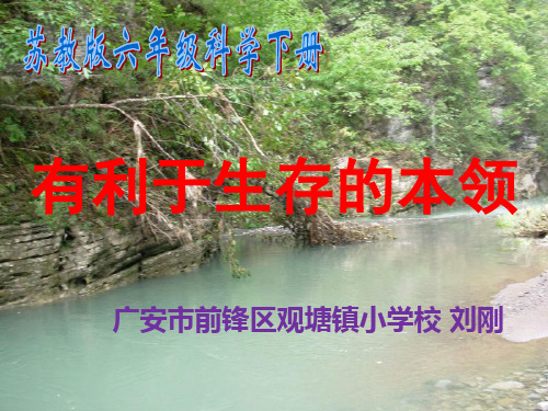 六年级下册科学课件-4.2有利于生存的本领｜苏教版(共22张PPT)