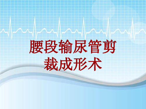 手术讲解模板：腰段输尿管剪裁成形术