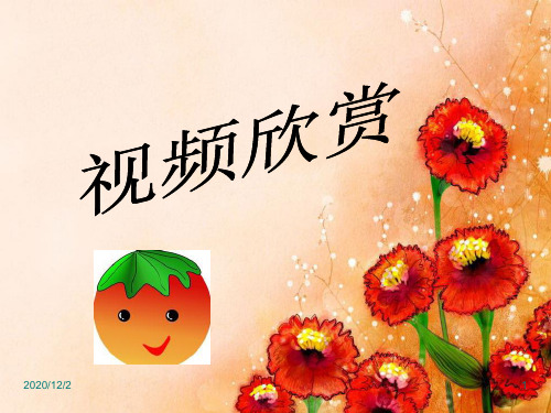 《门窗墙》 ppt课件