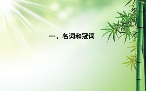 一、名词和冠词.ppt