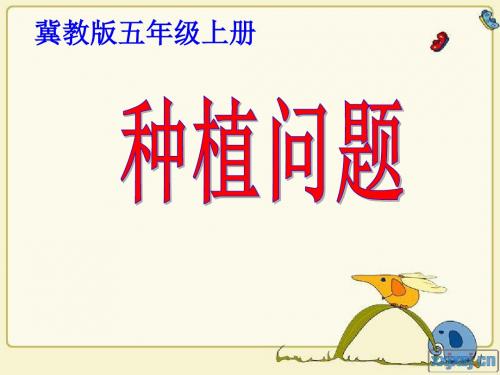 冀教版数学五年级《种植问题》PPT.