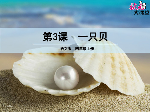 3一只贝