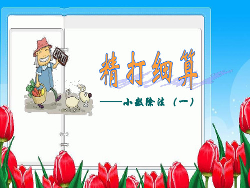 新北师大版五年级数学上册《精打细算》说课课件.ppt