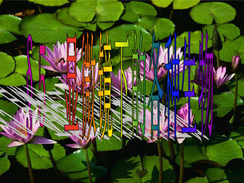 单细胞生物1衣藻
