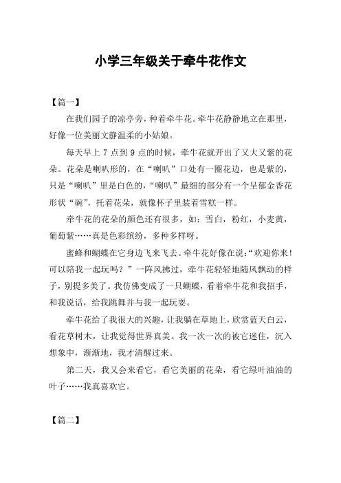 小学三年级关于牵牛花作文