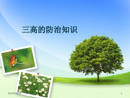 中老三高防治讲座PPT课件