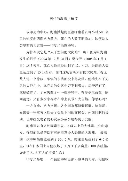 可怕的海啸_450字