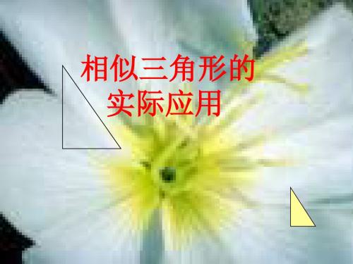 九年级数学相似三角形的应用3