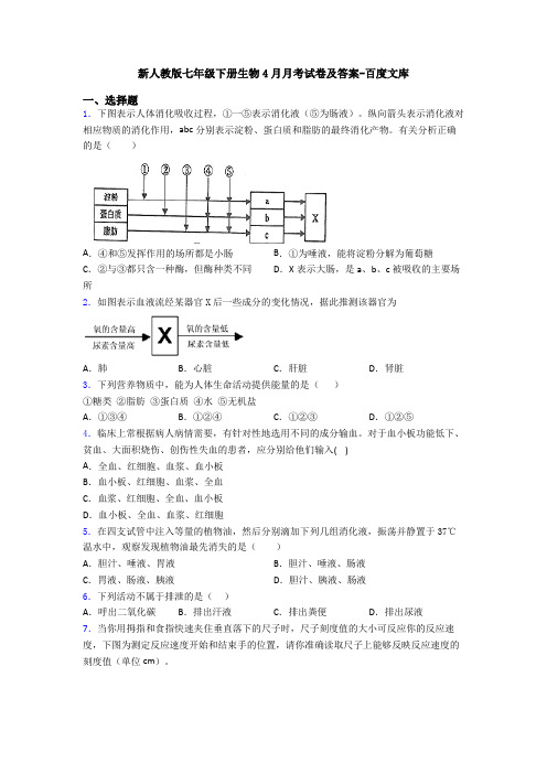新人教版七年级下册生物4月月考试卷及答案-百度文库