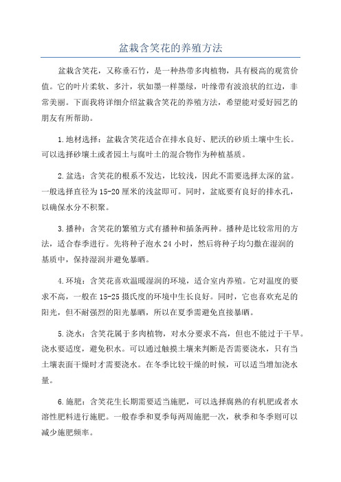 盆栽含笑花的养殖方法