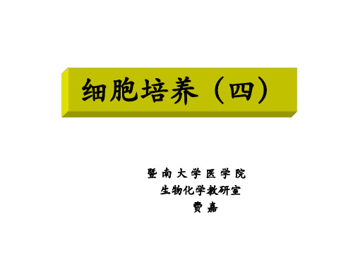 细胞培养污染及排除)