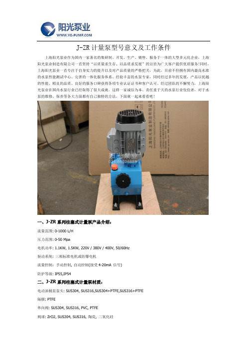 J-ZR计量泵型号意义及工作条件