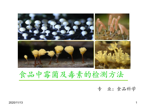 霉菌和毒素的检测方法 ppt课件
