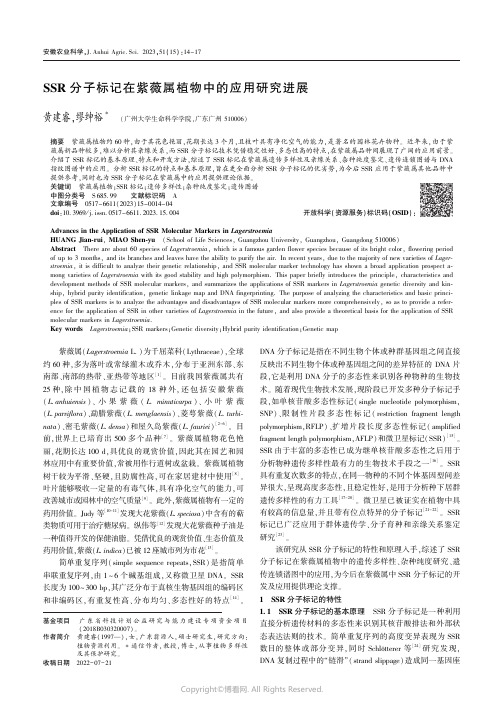SSR_分子标记在紫薇属植物中的应用研究进展