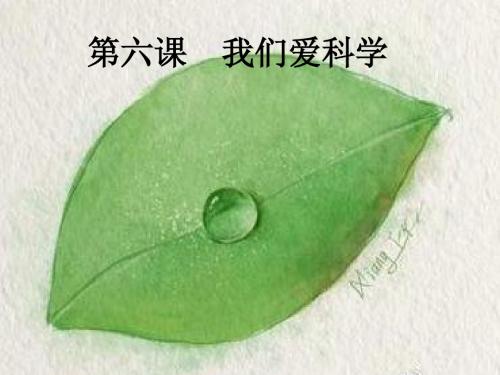 六年级思想品德第六课  我们爱科学