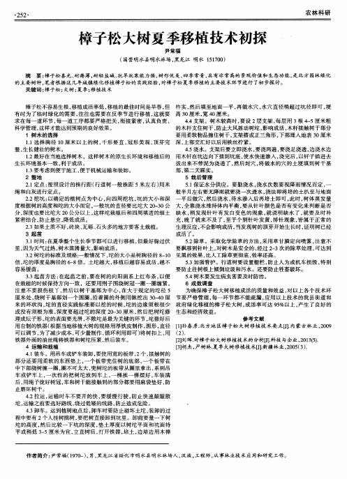 樟子松大树夏季移植技术初探