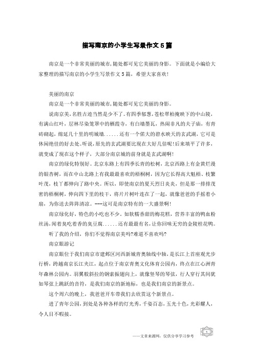 描写南京的小学生写景作文5篇