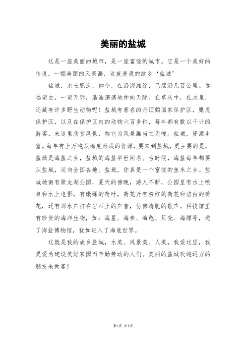 美丽的盐城_六年级作文_8