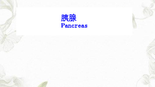 胰腺胰腺解剖及功能PPT课件