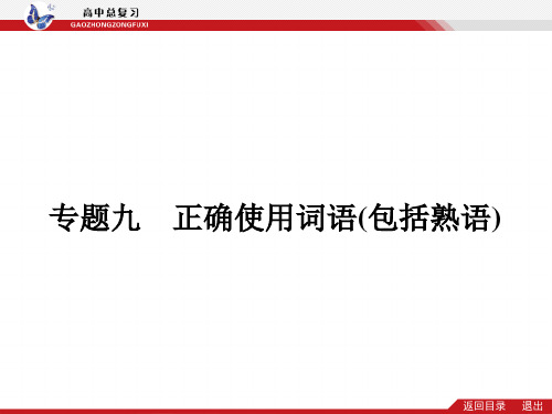 2019高考语文总复习专题九实词、虚词 共48页