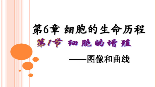 6.1细胞的增殖(上课)1
