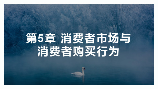 科特勒、阿姆斯特朗《市场营销学》 第5章 消费者市场与消费者购买行为