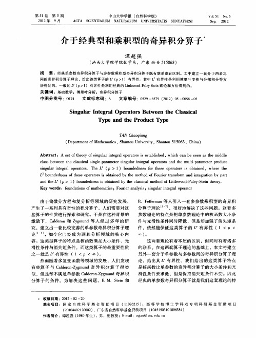 介于经典型和乘积型的奇异积分算子
