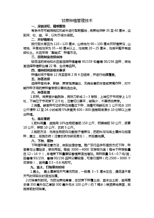甘蔗种植管理技术
