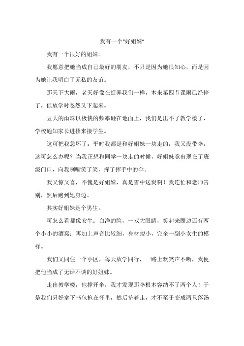 我有一个好姐妹-作文