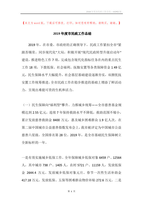 2019年度市民政工作总结