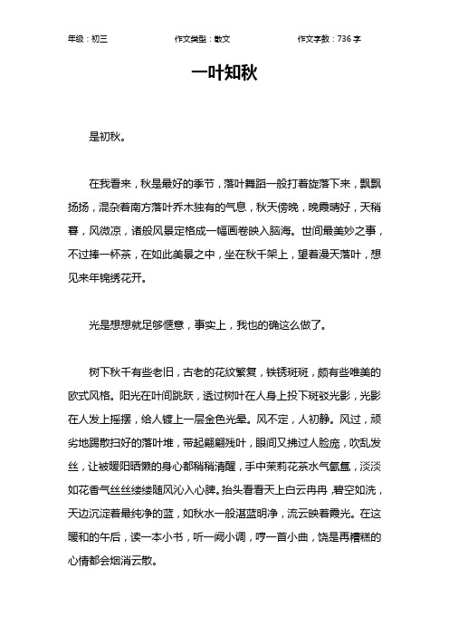 一叶知秋作文【初中初三700字】