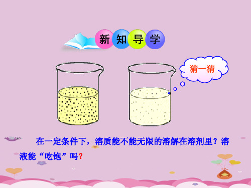 人教版初中化学九下9.2 溶解度 第一课时课件_2优质课件PPT