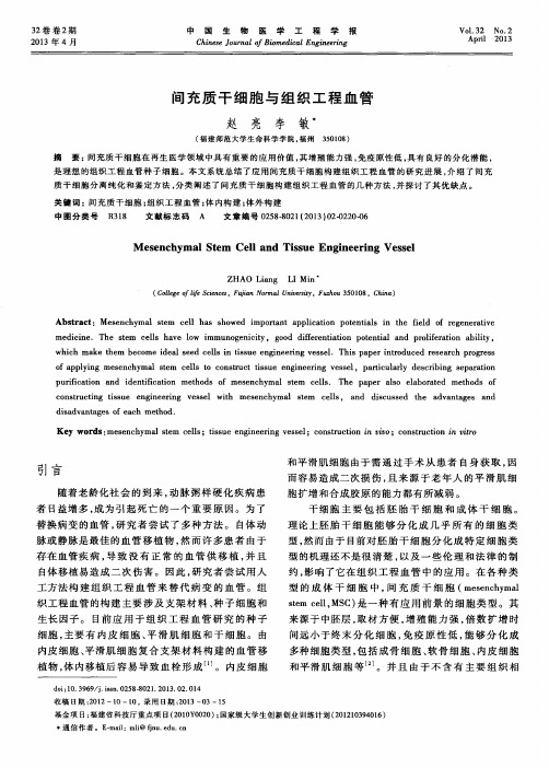间充质干细胞与组织工程血管