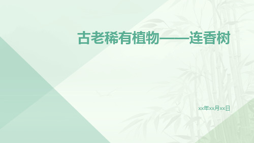 古老稀有植物——连香树