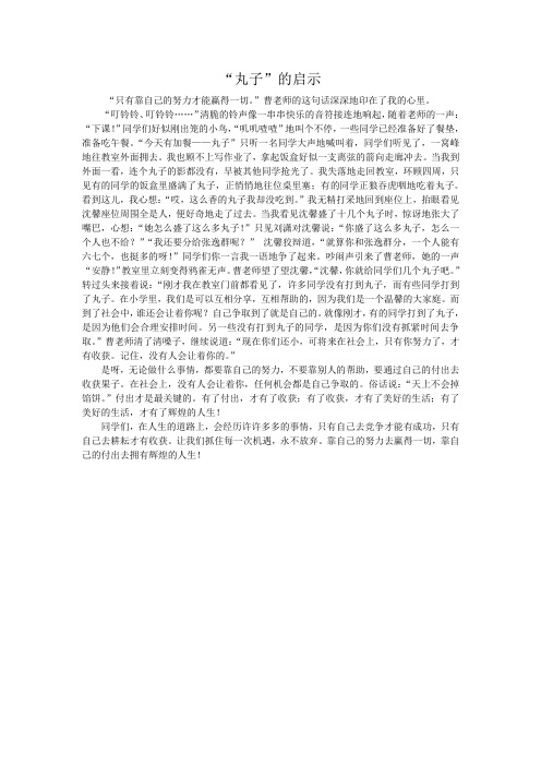 “丸子”的启示