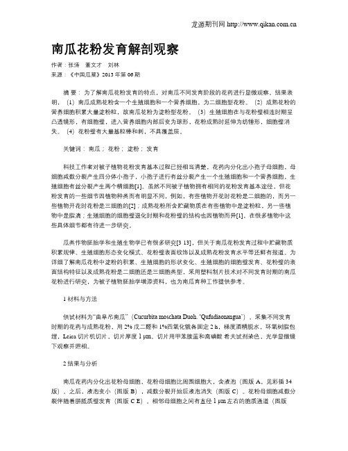 南瓜花粉发育解剖观察