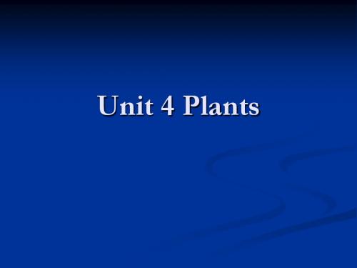 新起点听力4 (课件)unit 4 plants