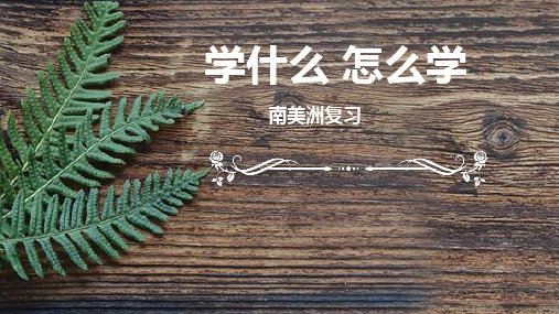 高三地理复习 南美洲说课课件