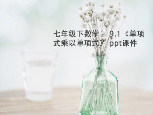 单项式乘以单项式PPT教学课件