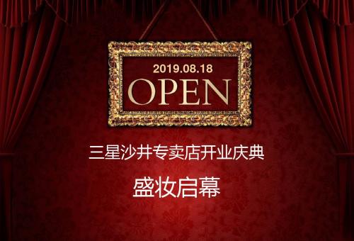 三星 新店开业庆典方案 共30页