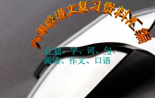 六年级复习资料汇总