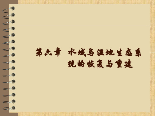 恢复生态学 第六章 水域与湿地生态系统的恢复重建